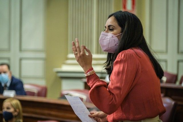Pleno del Parlamento de Canarias, 23/11/2021