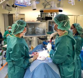 Sacyl contrata 425 operaciones de ojos y trauma en Zamora para bajar la lista de espera
