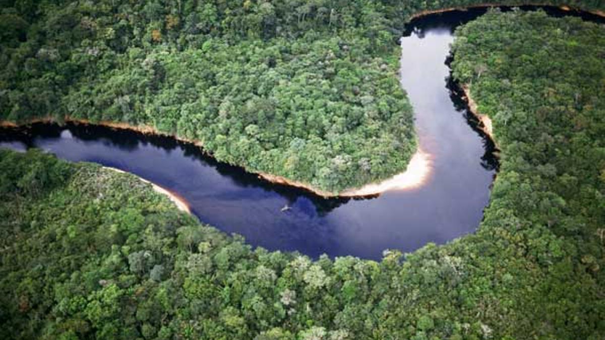 Río Orinoco, pulmón de Venezuela