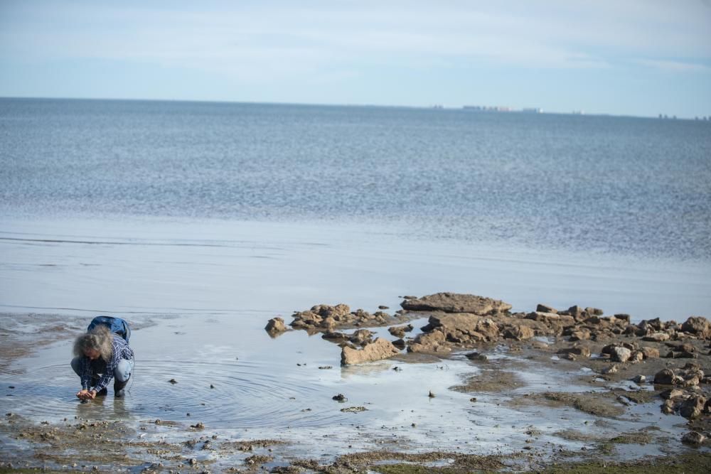 Recogida de plásticos en el Mar Menor