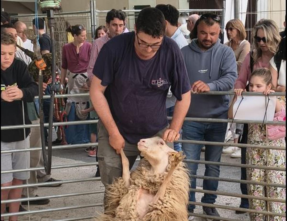 Las imágenes de la Fira de Sencelles