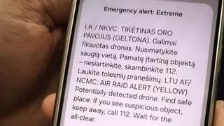 Cazas de la OTAN derriban un dron sobre el espacio aéreo de Lituania