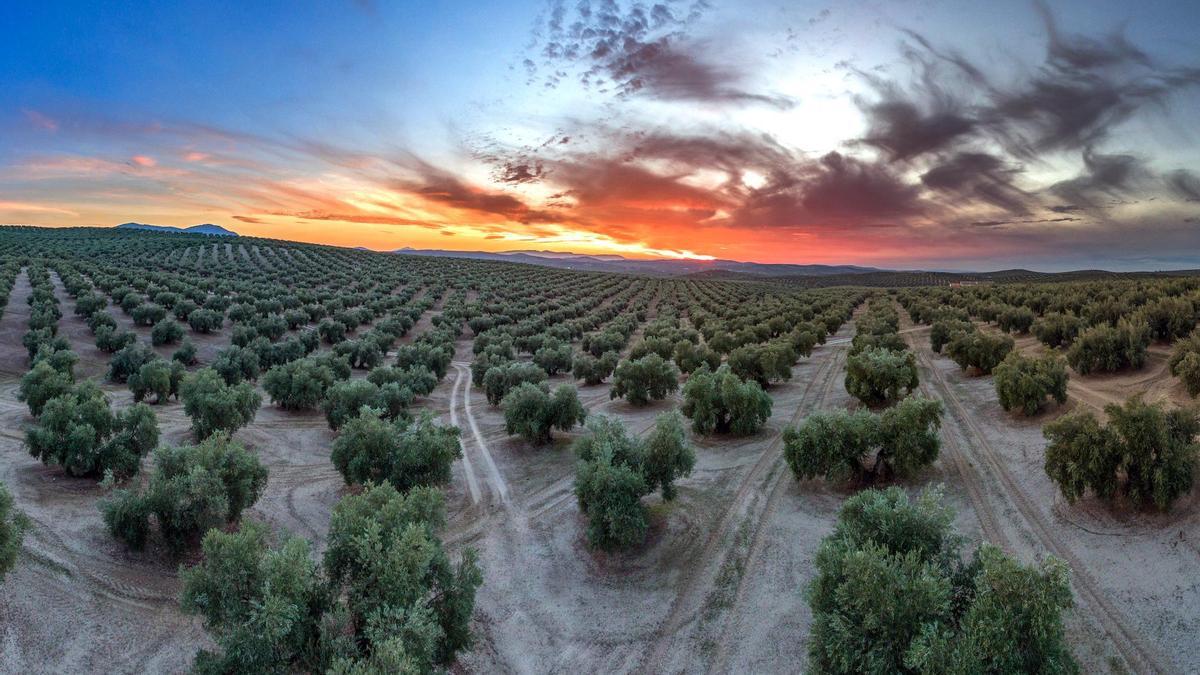 Jaén, el paraíso gastronómico que debes visitar esta Semana Santa