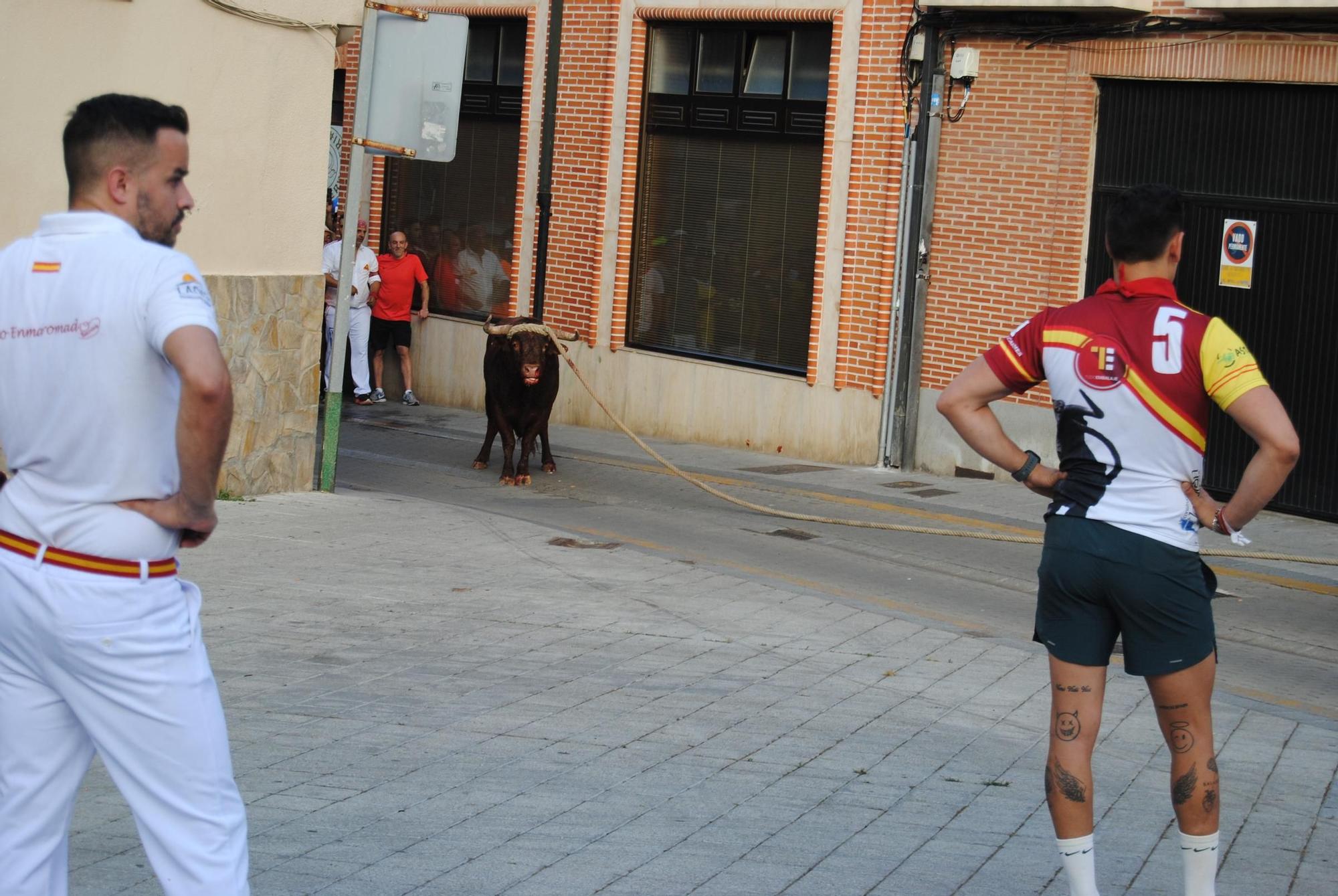 Así ha sido la carrera del torito Espléndido en Benavente