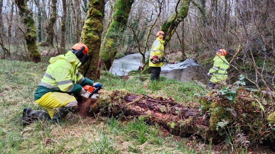 La Xunta realiza limpieza y conservación en tramos interurbanos del Lérez en Forcarei