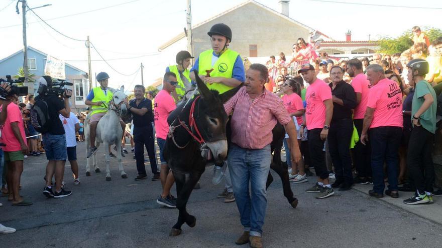 San Roque do Monte se engalana dos años después para la &quot;Carreira de Burras&quot;