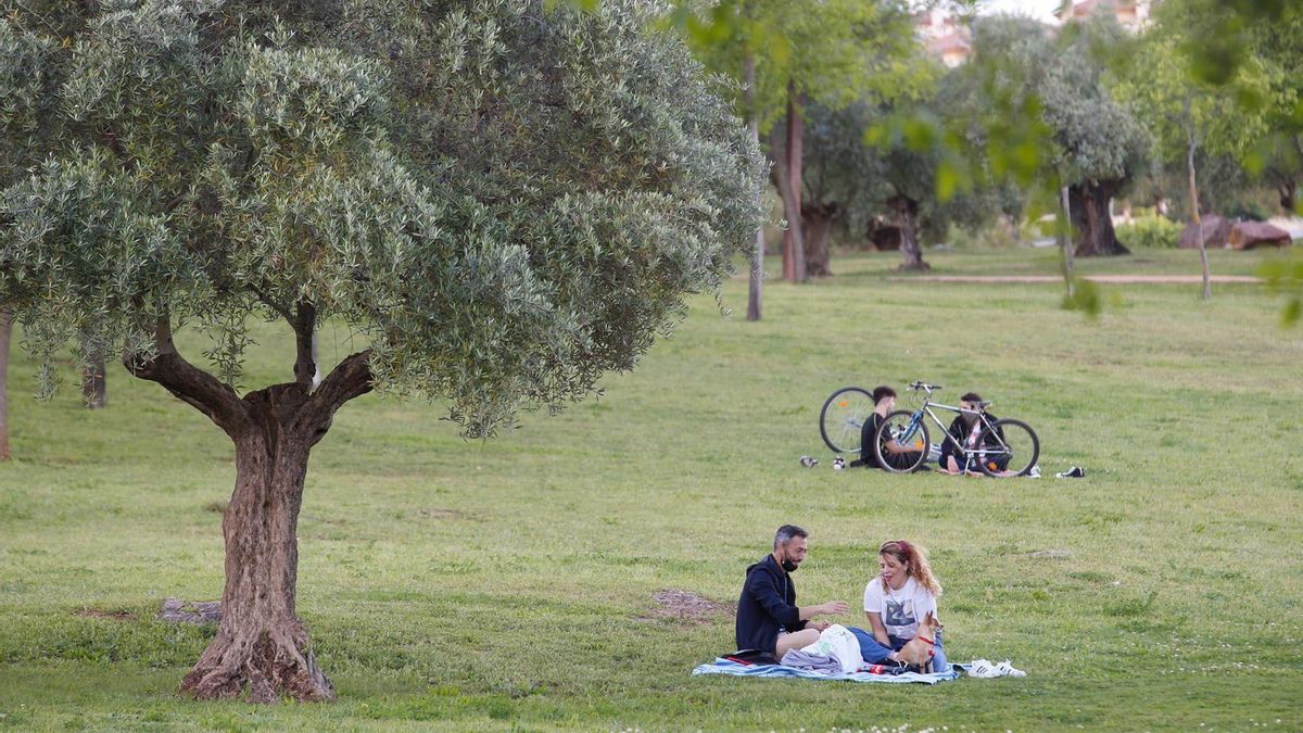 Varias personas en el parque de la Asomadilla.