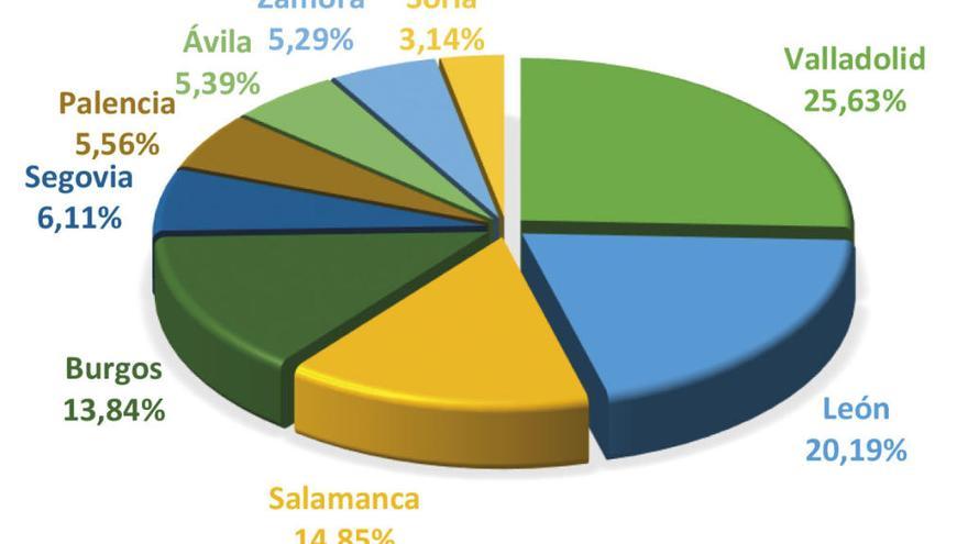 Zamora, en el vagón de las provincias &quot;irrelevantes&quot; en presencia en Internet