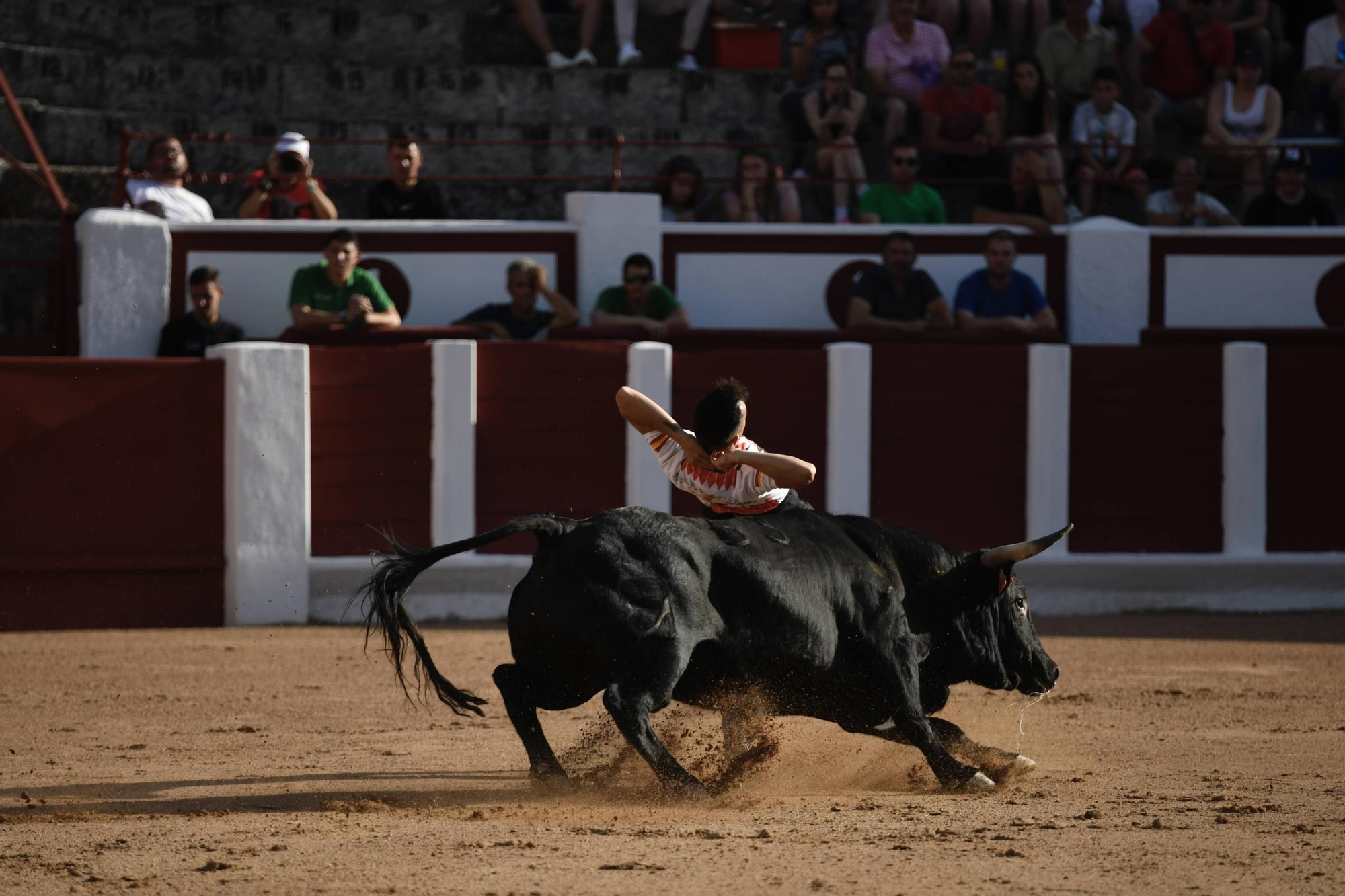 Concurso Recortadores San Pedro 2025