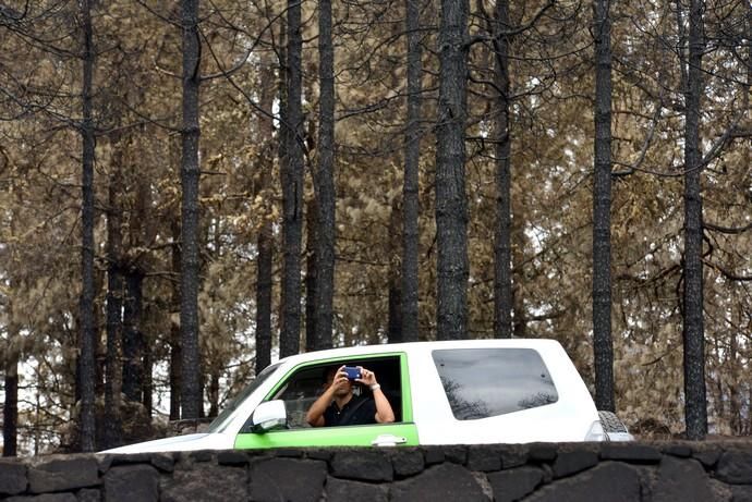 INCENDIO CUMBRE GRAN CANARIA