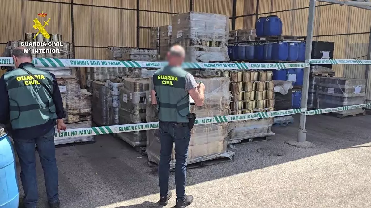Inmovilizan en Valencia 80 toneladas de aceitunas por usar productos no aptos para el consumo humano