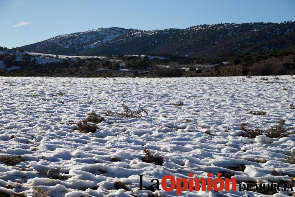 Nieve en Revolcadores