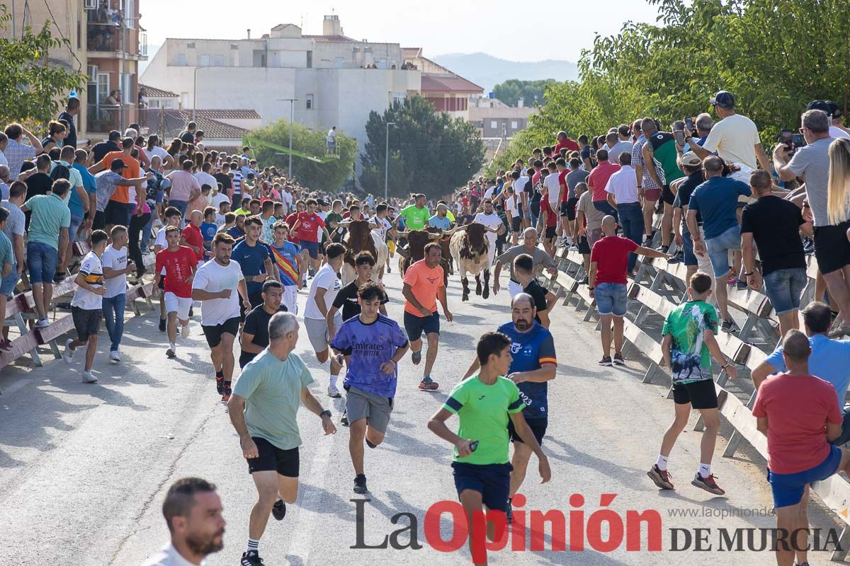 Sexto y último encierro de la Feria Taurina del Arroz en Calasparra