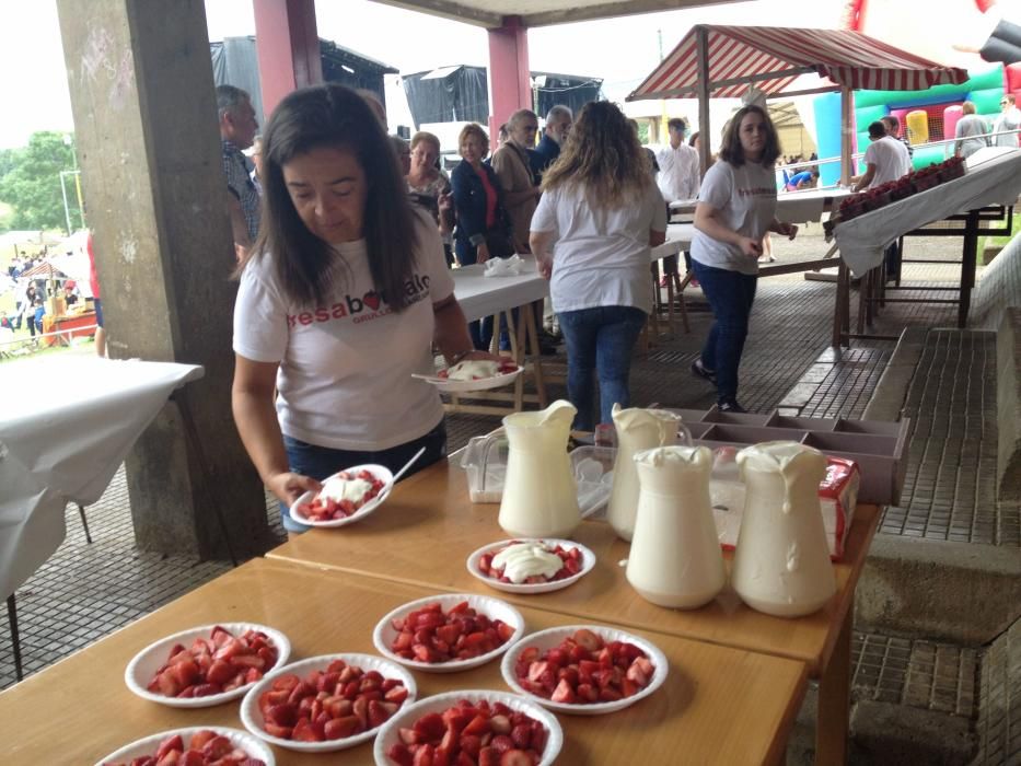 Festival de la fresa en Candamo