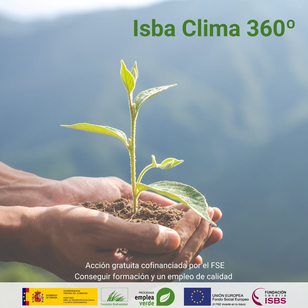 ISBA 360 CARTEL