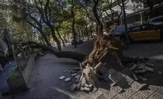 Un vendaval històric provoca milers d’incidències a Catalunya i deixa un mort