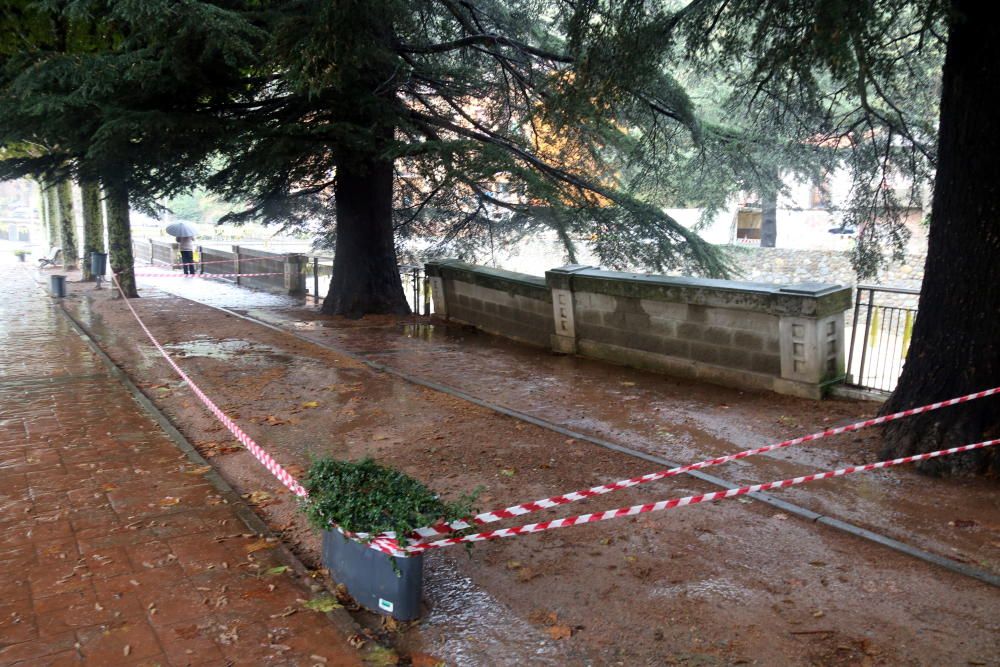 Efectes de la pluja a Ribes de Freser