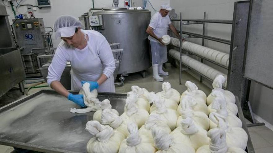 Una empresa alimentaria ubicada en el Camp d&#039;Elx, donde deben llegar los inspectores.