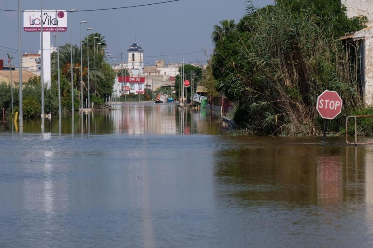 Gota fría en la Vega Baja: Los agricultores cifran en 550 millones las pérdidas en el campo de la provincia de Alicante
