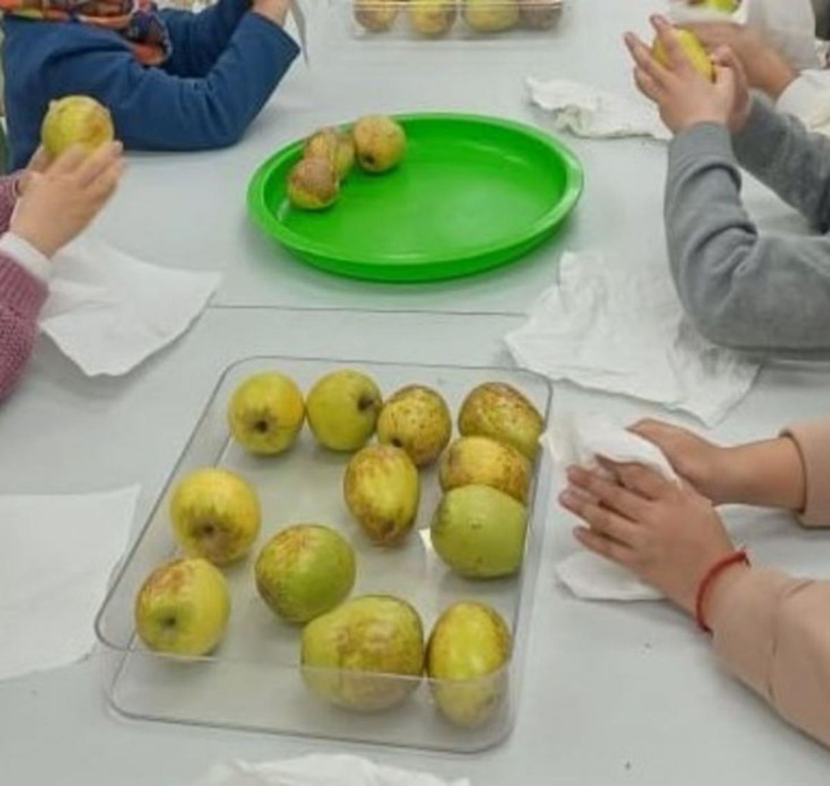 Magranes, perellons 
i caquis 
per als escolars 
de la Vall 
de Gallinera