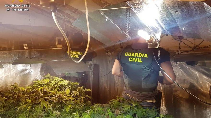 Una denuncia por violencia de género conduce a la Guardia Civil a una vivienda con cultivo de marihuana