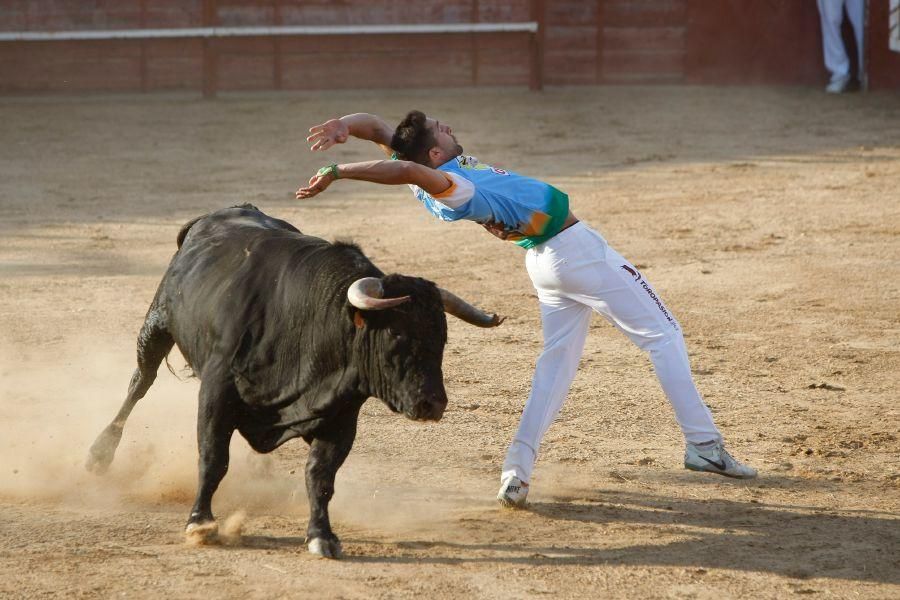 Fiestas en Zamora: Recortes en Villalpando