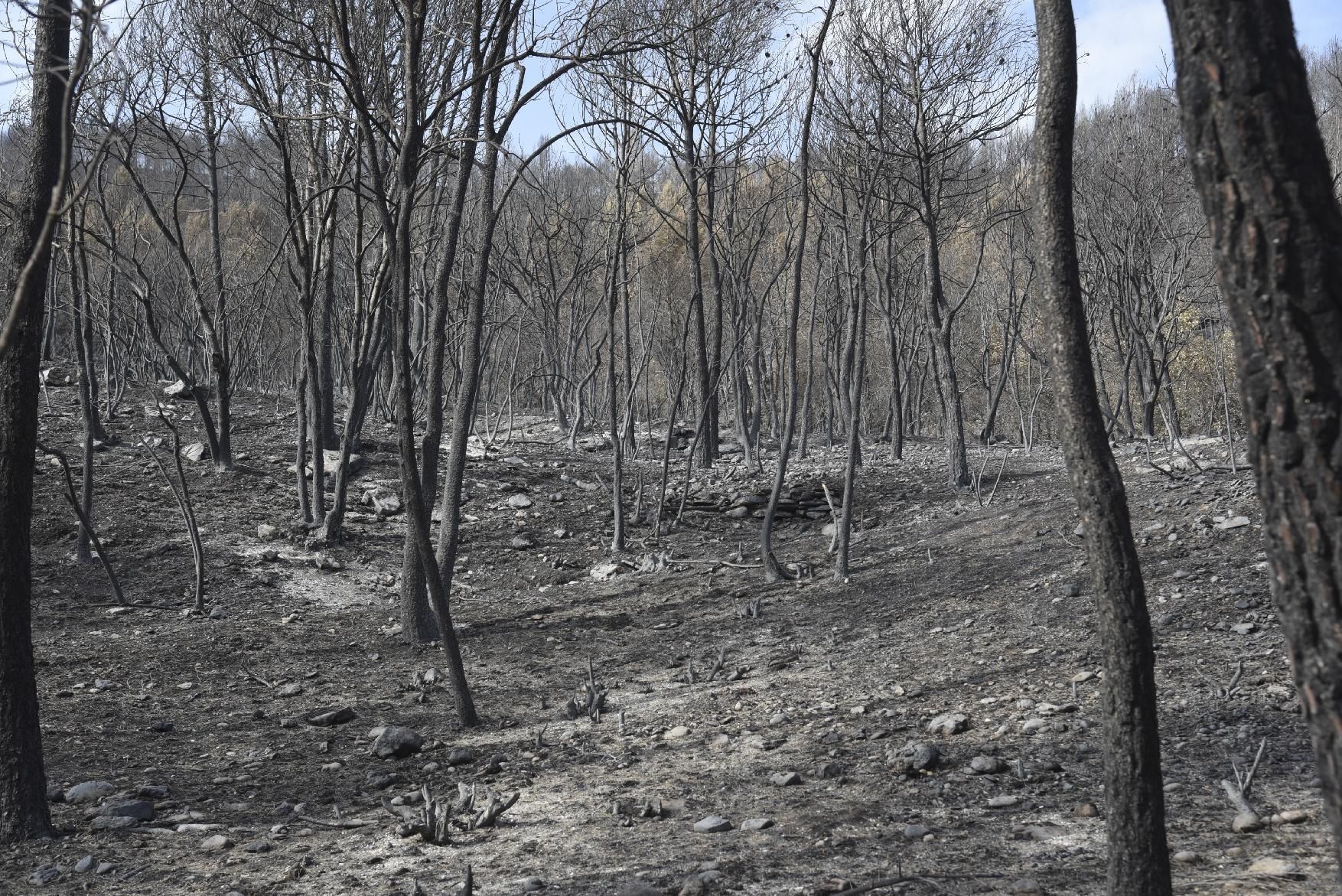 Així ha afectat el foc les tines de la Vall del Flequer