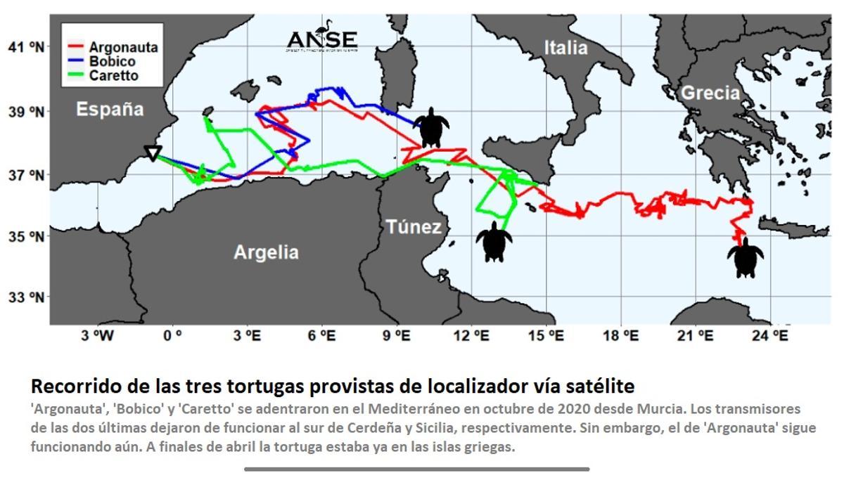 La proeza de la pequeña tortuga ‘Argonauta’ desde Murcia hasta Grecia