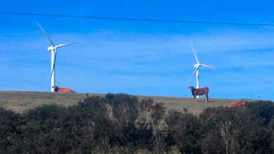 Más de setenta parques eólicos están en trámite en Galicia desde finales de 2019