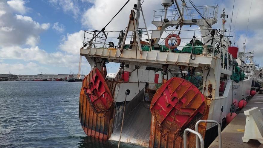 En el olimpo internacional de la pesca submarina - Faro de Vigo