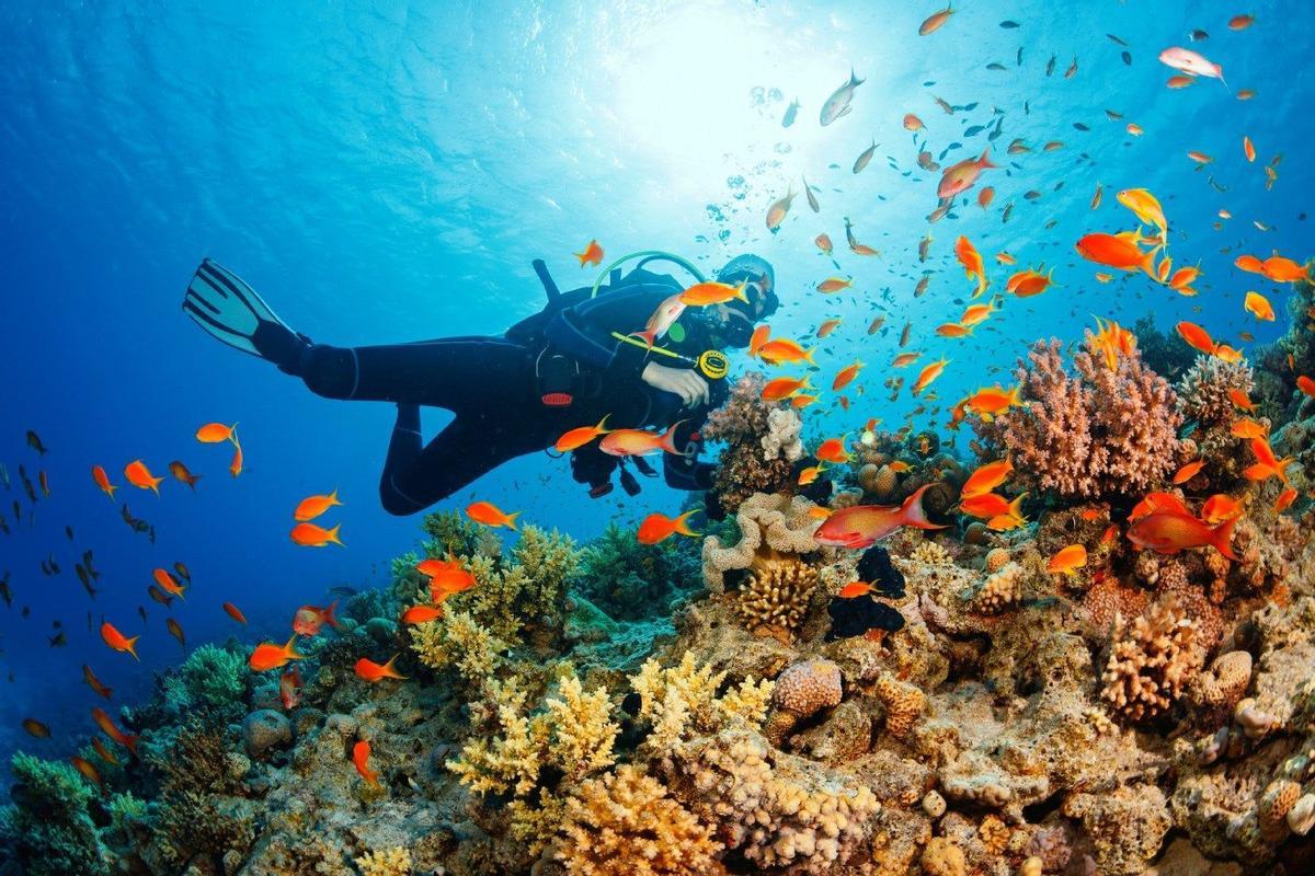 Mar Rojo, Jordania