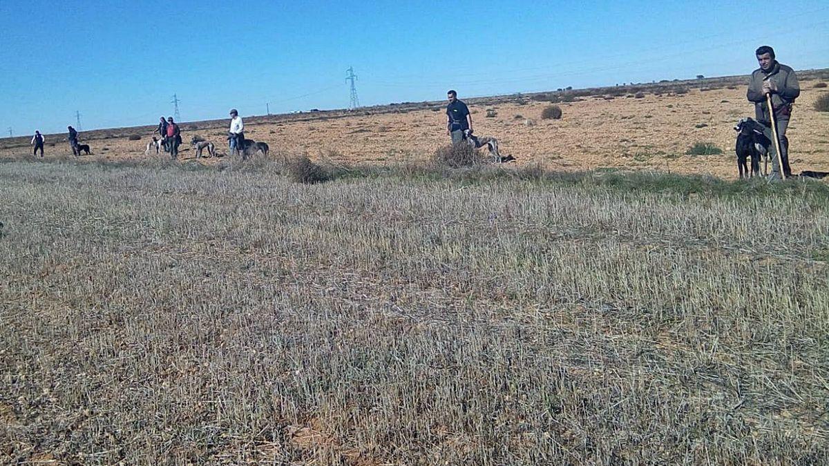 Cazadores preparados con sus galgos en Zamora.