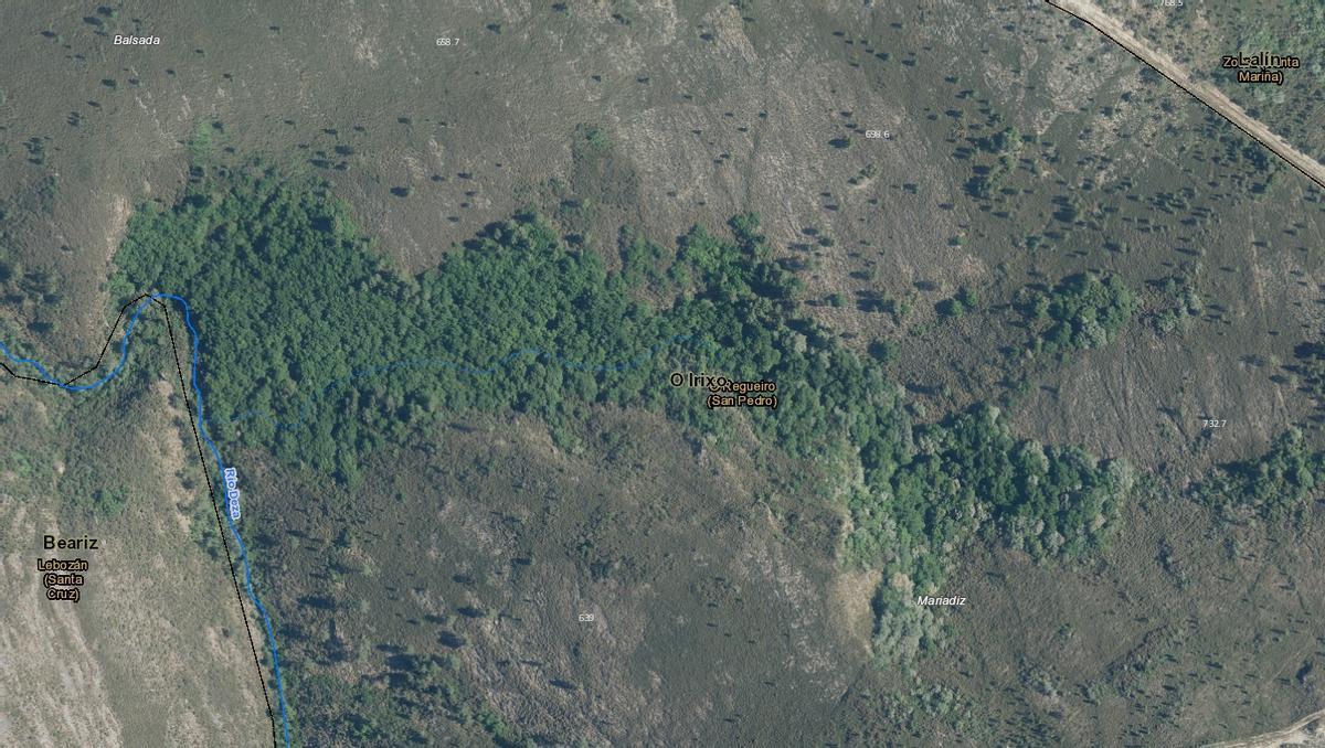 A Devesa de Mariadiz (O Regueiro).