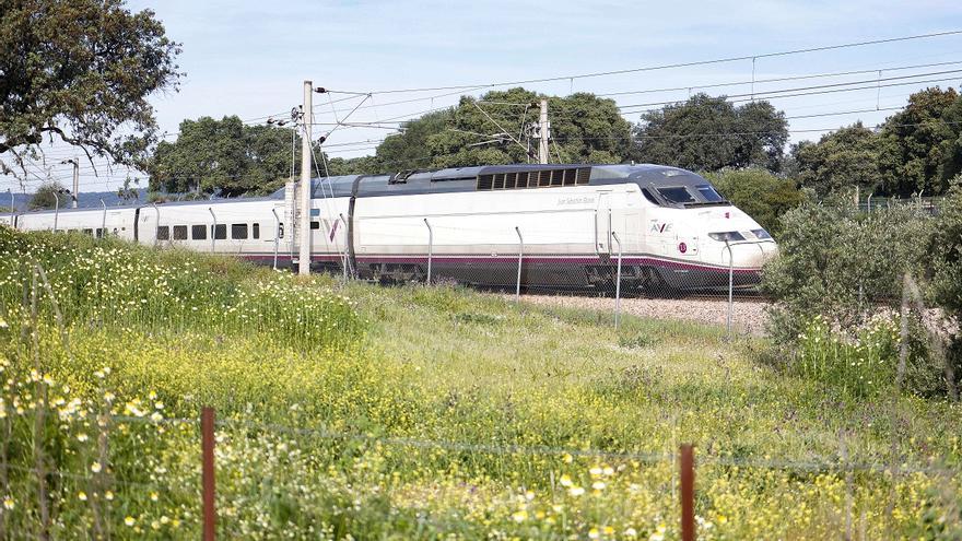 Diez años de AVE en Los Pedroches: vidas y sueños tras una estación de tren