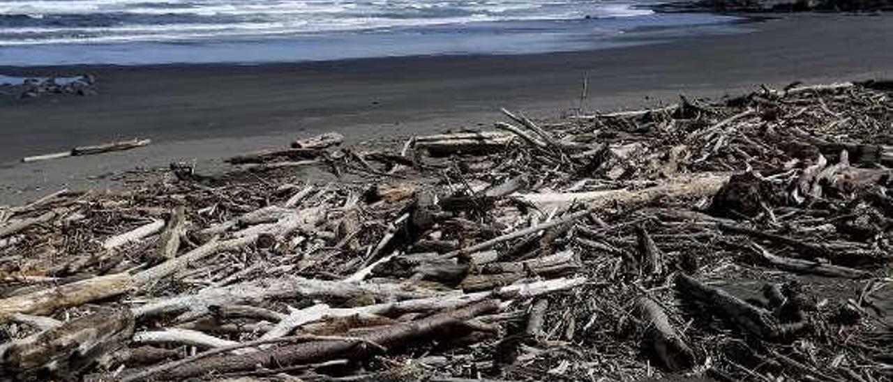 Los restos de madera que cubren la playa de Los Quebrantos.