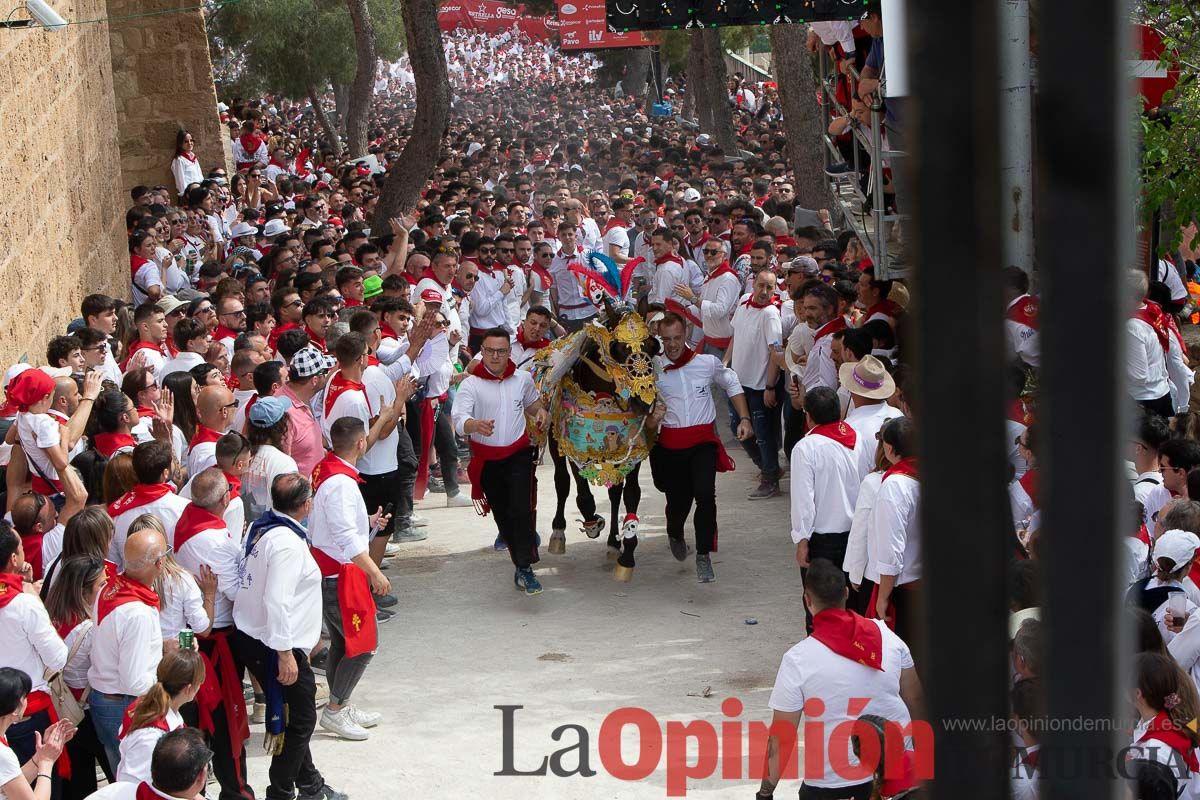 Así ha sido la carrera de los Caballos del Vino en Caravaca