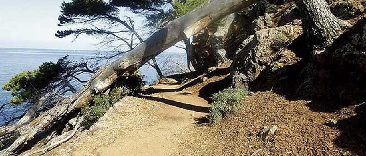 El Camí dels Pintors ha sido objeto de polémica entre el ayuntamiento de Sóller y Costas.