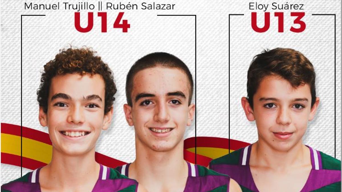 Tres jugadores del Unicaja irán con la Selección Española