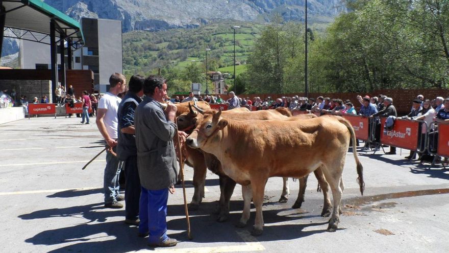 La actividad ganadera, una de las señas teverganas