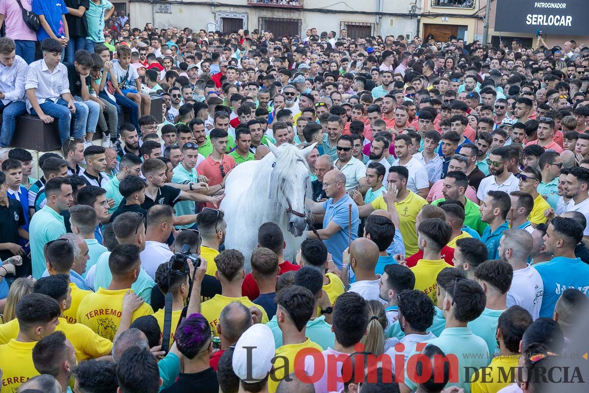 Entrega de premios del concurso morfológico de los Caballos del Vino de Caravaca