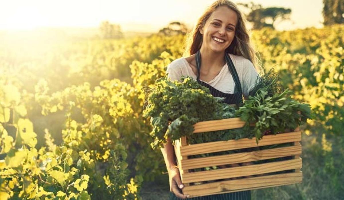 Peligros de las dietas 'detox'