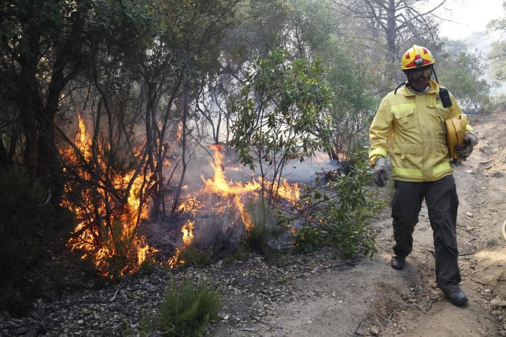 Incendi forestal a Blanes