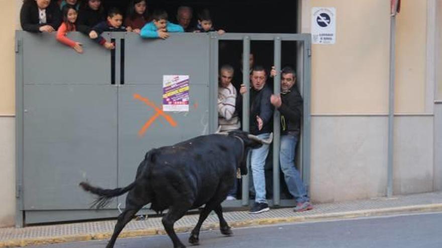 Borriol celebra la jornada más taurina de sus fiestas