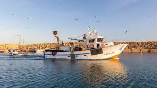 Els pescadors d'encerclament gironins comencen una veda de dos mesos