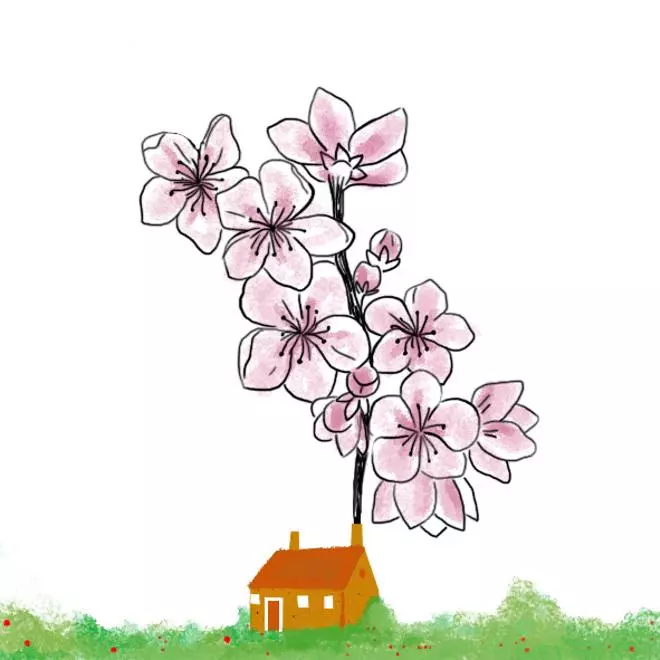 La primavera estaba en el hortal o ver Japón sin los cerezos en flor, una columna de Patricia Almarcegui