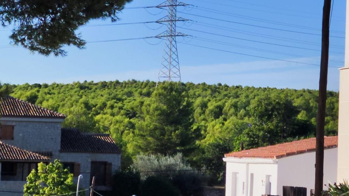 Ecologistas del Túria quieren desviar los cables de alta tensión