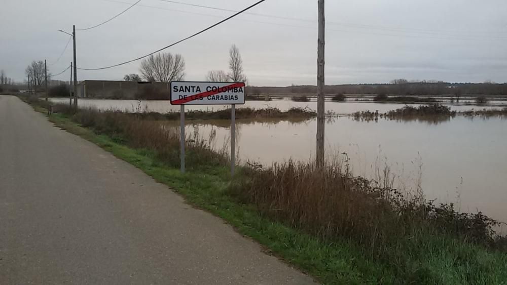 Los ríos se desbordan a su paso por Benavente