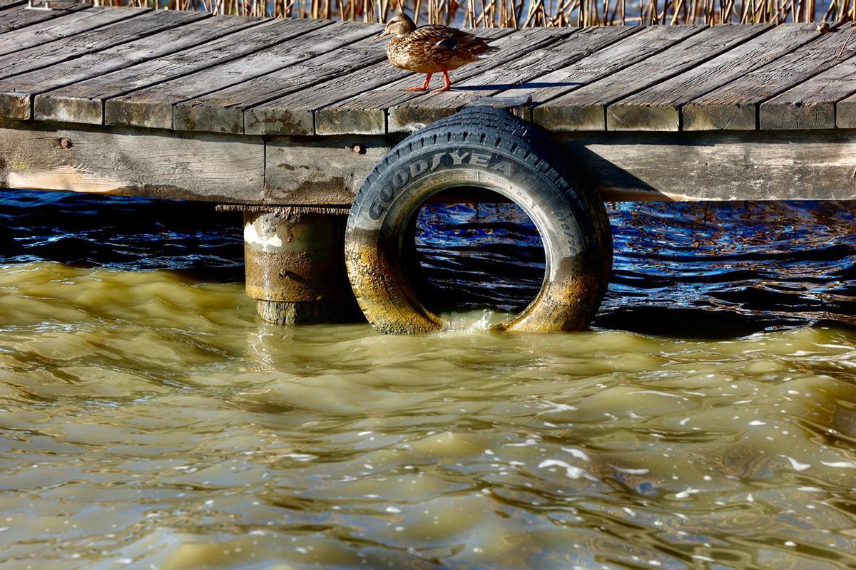 L'Albufera marrón por efecto del viento de poniente, que remueve los sedimentos