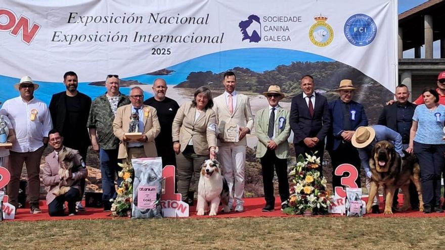 ‘Best in Show’ de la 51ª Exposición Internacional y de la 114ª Exposición Nacional Canina.