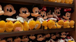 Varias influencers españolas, en Disney World Orlando con sus hijos